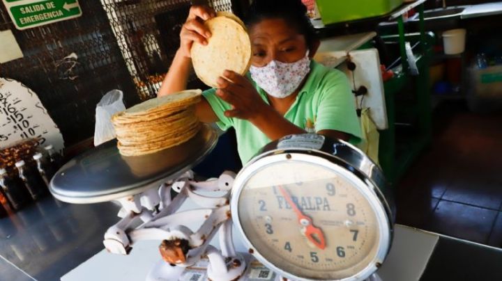 Alza en el precio de la tortilla en la Zona Maya de Quintana Roo inicia este 11 de julio