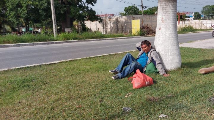 Hombre de Campeche recibe machetazo en la cabeza por una botella de aguardiente