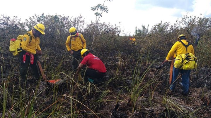Incendio en la Reserva de Sian Ka'an consume un área de selva baja; informan