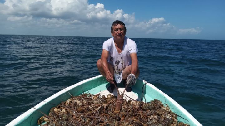 Pescadores de Yucatán ven con optimismo la nueva temporada de langosta