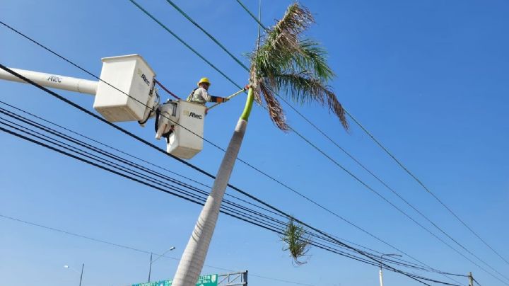 Cortes de luz en Campeche: Estas colonias no tendrán energía este miércoles 29 de marzo