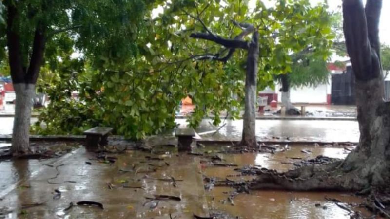 Fuertes lluvias causan destrozos en diversas zonas de Motul