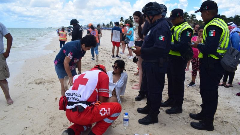 Confirman 16 ataques de animales marinos a bañistas de Progreso por la marea roja