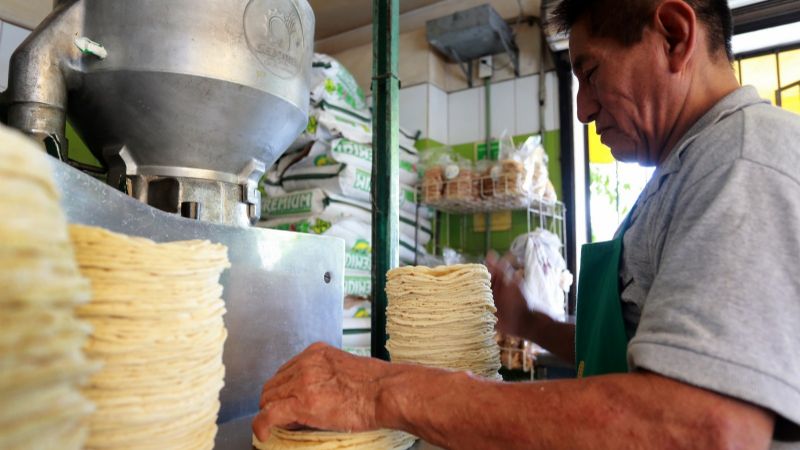 Cae 30% el consumo de la tortilla en Cancún por alto costo; el kilo se vende en 28 pesos