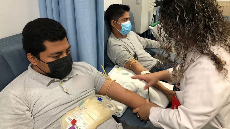 Cofepris suspende banco de sangre del Hospital Galenia de Cancún