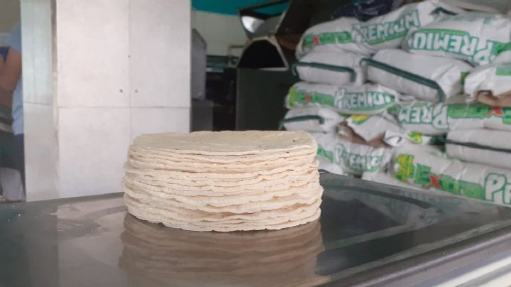Aumenta el precio de la tortilla en Cozumel y la Zona Maya de Quintana Roo