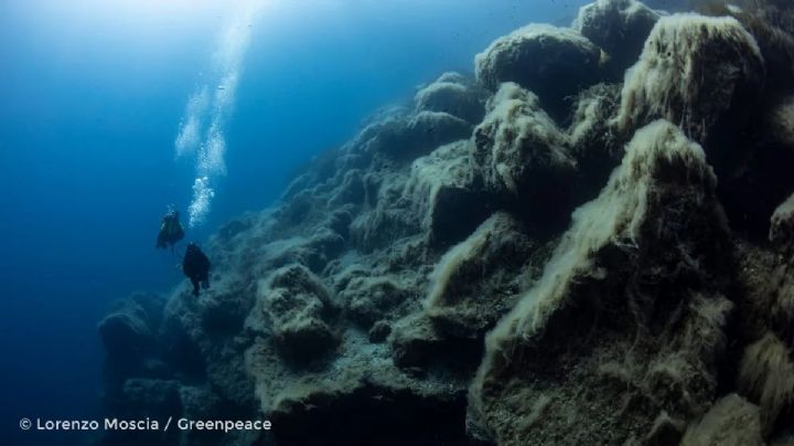Inapesca bautiza tres montañas submarinas con nombres de científicos mexicanos