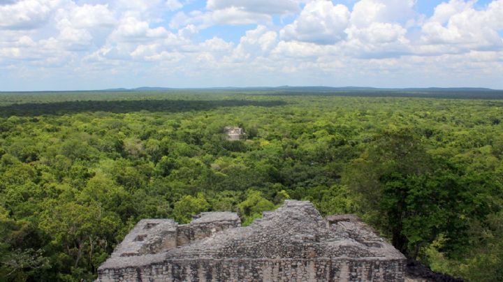 Alcalde busca que la Reserva de la Biosfera de Calakmul sea considerado 'Parque Nacional'