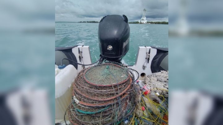 Retiran 50 trampas y redes pesqueras ilegales colocadas en la Bahía de Chetumal