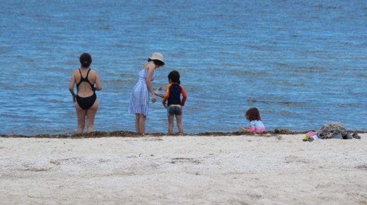 Marea roja se aleja de Progreso, pero también los turistas; las playas lucieron 'desoladas' el fin de semana
