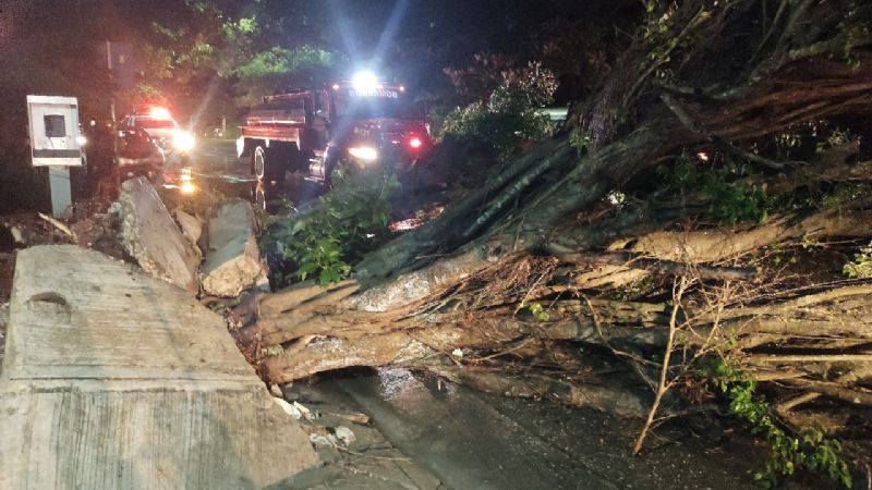 Persona electrocutada, árboles caídos y techos derrumbados por lluvia en Campeche