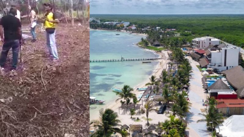 Denuncian nuevo caso de despojo en predios en Mahahual, Quintana Roo