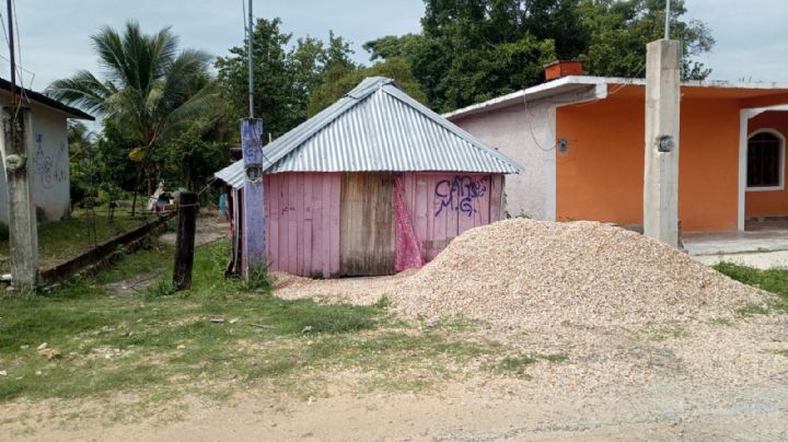 Suicidios en Campeche: Hombre se cuelga de un árbol de guaya en Escárcega