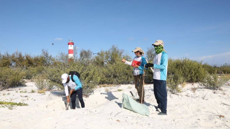 Arrecife Alacranes: Gobierno de Yucatán pone en marcha plan de protección