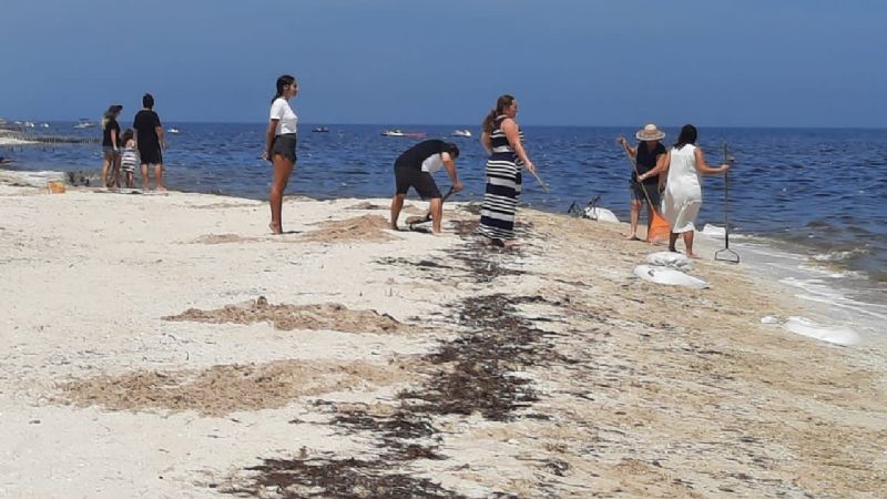 Ejército, voluntarios y personal del Gobierno de Yucatán se unen para limpiar playas afectadas por marea roja
