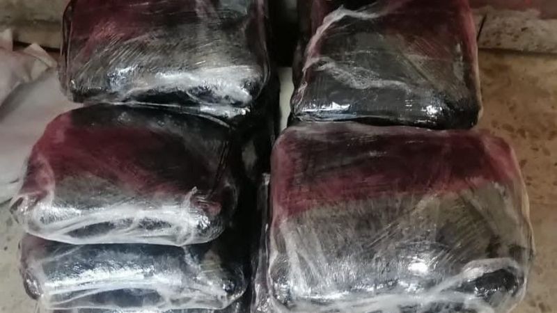 Empresas de paquetería en Campeche, usadas para el trasiego de droga; van 20 kilos decomisados