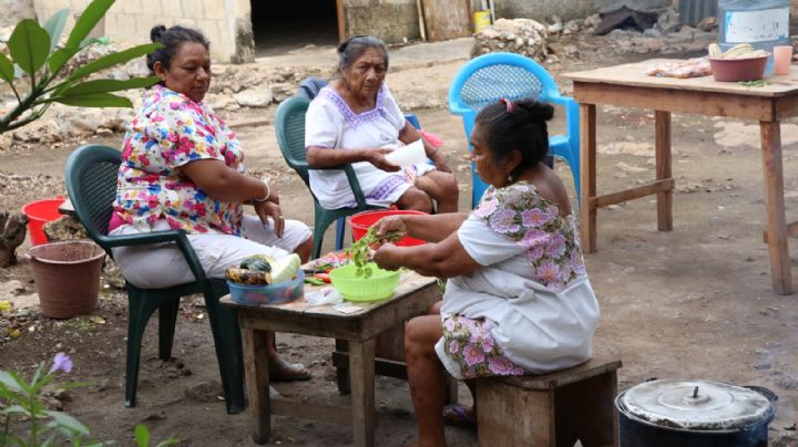 En Yucatán, uno de cada cuatro habitantes sufre discriminación por su origen indígena
