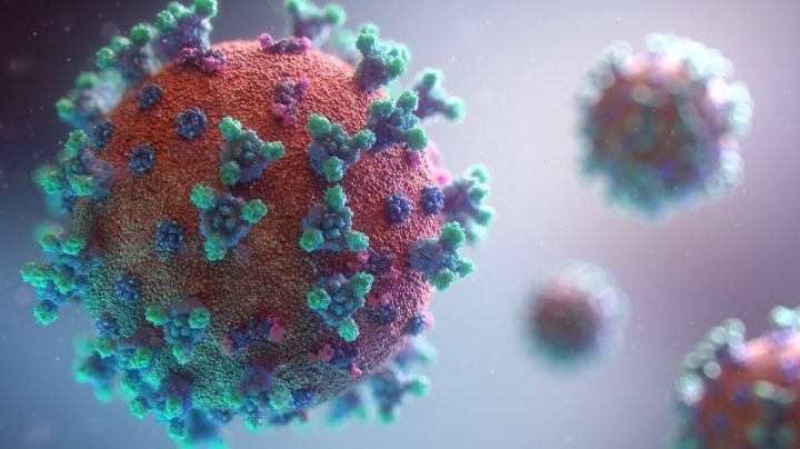 Henipavirus: ¿Cuáles son los síntomas del nuevo virus reportado en China?