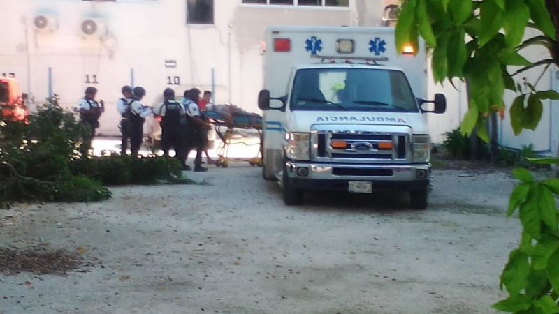 Abuelito se cae mientras podaba un árbol en el Centro de Playa del Carmen