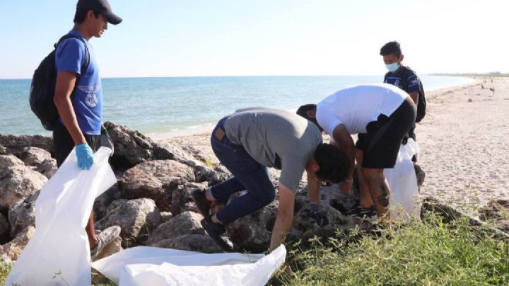 Recogen más de 4 toneladas de basura durante los trabajos de limpieza en 14 playas de Yucatán