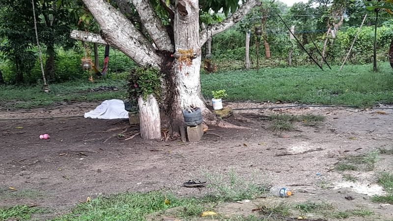 Mujer se ahorca de un árbol en el patio de su vivienda en Escárcega