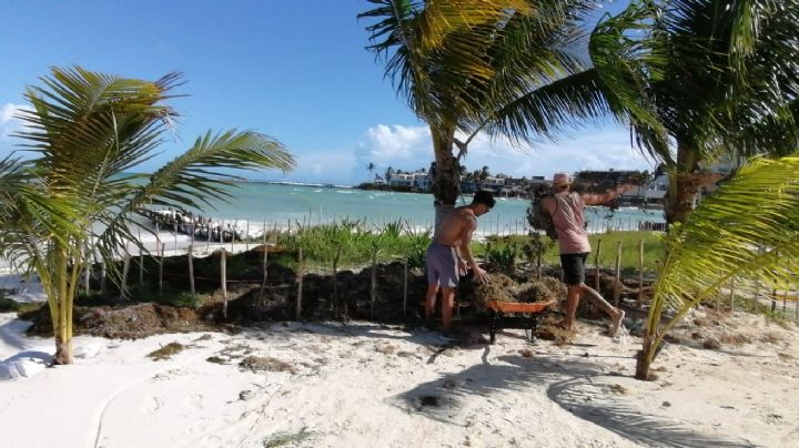 Huracán Ian deja con sargazo algunas playas de Isla Mujeres: FOTO