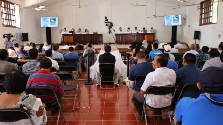 Tren Maya: Semarnat realiza reunión pública sobre el Tramo 6 en Quintana Roo