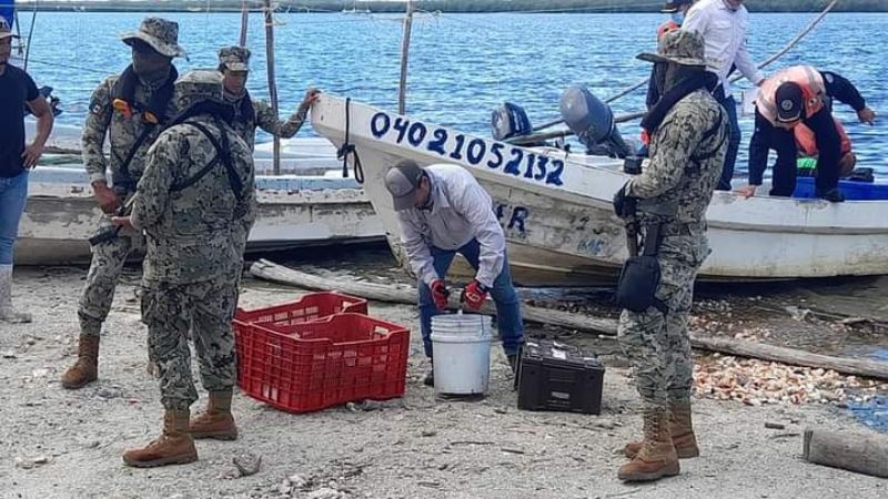 Semar detiene a pescadores de Champotón que capturaban pulpo con compresores
