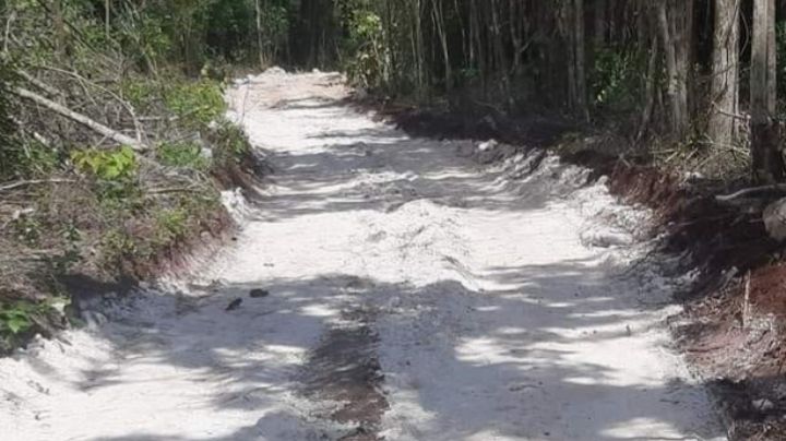 Agricultores de José María Morelos rehabilitan dos carreteras sacacosechas con medios propios