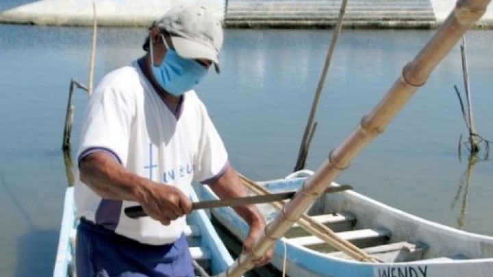 Cae precio del pescado en Sabancuy