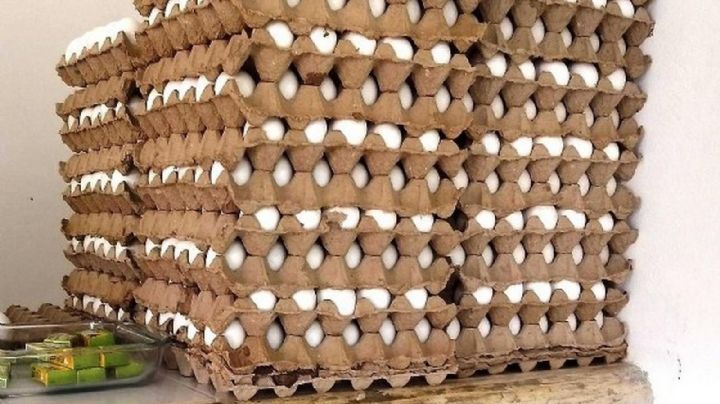 Aumenta el costo del huevo en algunos municipios de Quintana Roo por escasez