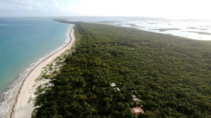 Reserva de Sian-Kaan cumple 37 años afectada por la privatización de playas