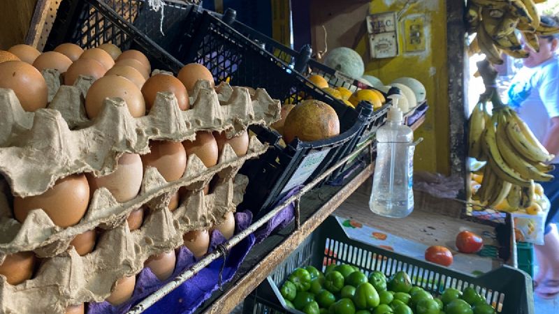 Gripe aviar en Yucatán baja la producción de huevos