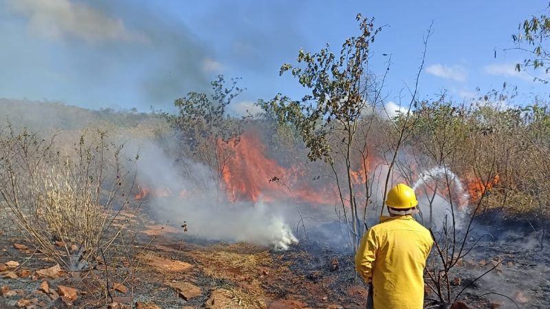 Incendio forestal arrasa con 10 hectáreas de monte en Tekax