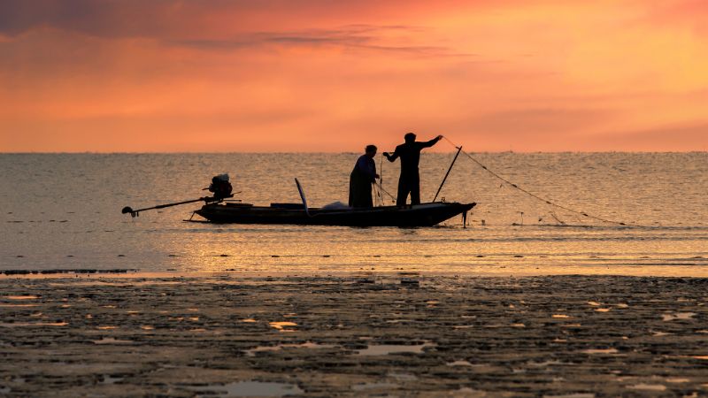 ¿Por qué se celebra el día del pescador el 26 de enero?