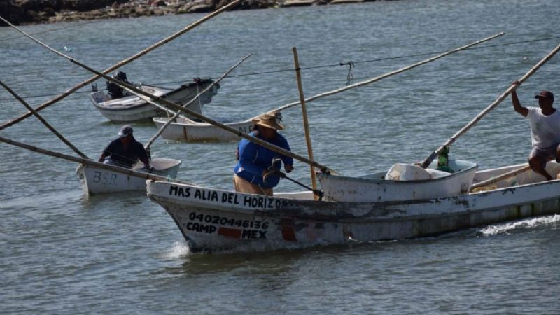 Secretaría de Marina detiene a pescadores furtivos en Campeche