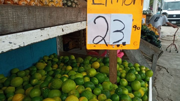 Aumenta el precio del kilo de limón en Chetumal