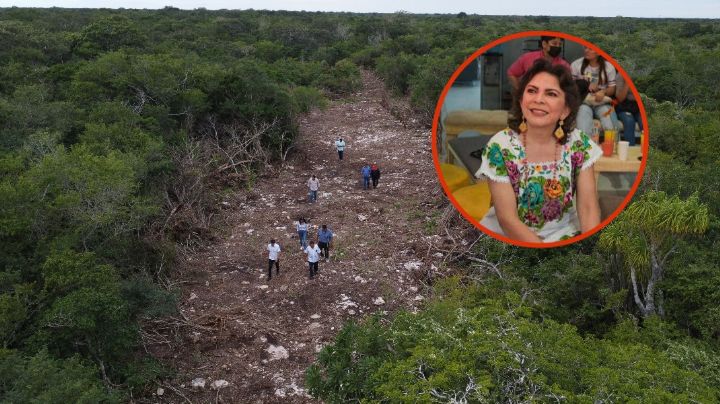 Profepa impone millonaria multa a empresario que compró terrenos a Ivonne Ortega en Dzemul