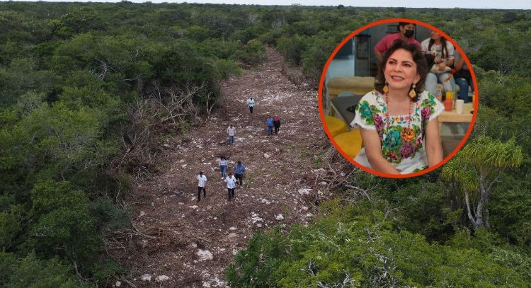 Profepa impone millonaria multa a empresario que compró terrenos a Ivonne Ortega en Dzemul