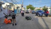 Perrito callejero provoca accidente en Ciudad del Carmen