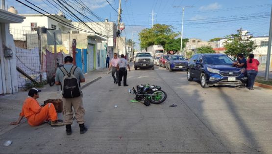 Perrito callejero provoca accidente en Ciudad del Carmen