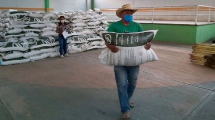 Programa Bienestar beneficia a más de 20 mil personas en Campeche: SDA