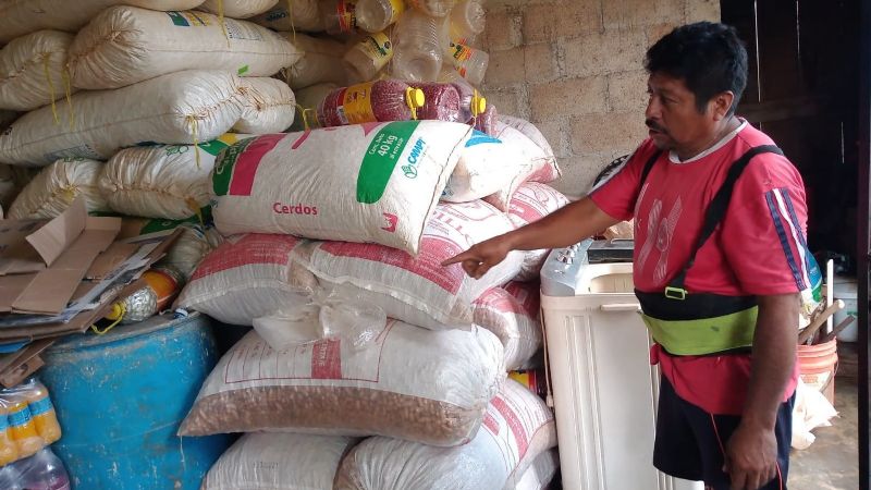 Cacahuateros de Hopelchén reportan pérdidas en sus cosechas por la sequía en Campeche