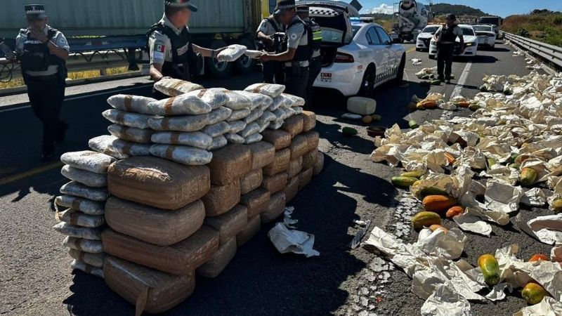 Guardia Nacional asegura 190 kilos de aparente mariguana en Michoacán