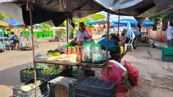 Precios para ingredientes del pib continúan en aumento en Peto, Yucatán