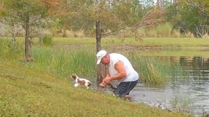 Abuelito lucha contra un cocodrilo para salvar a su perrito en Florida: VIDEO
