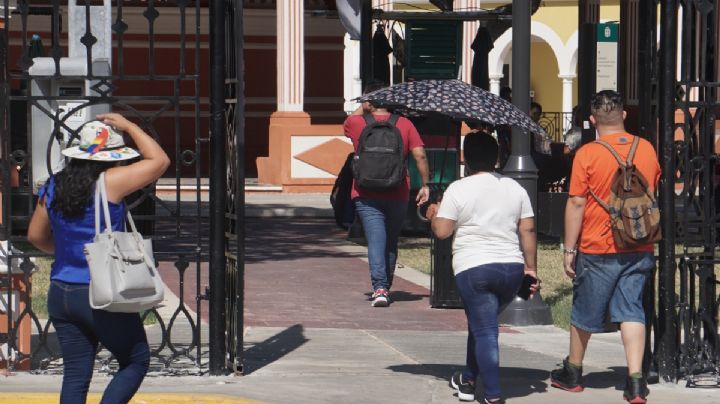 En Campeche, se han detectado 572 casos de dengue en lo que va del 2023