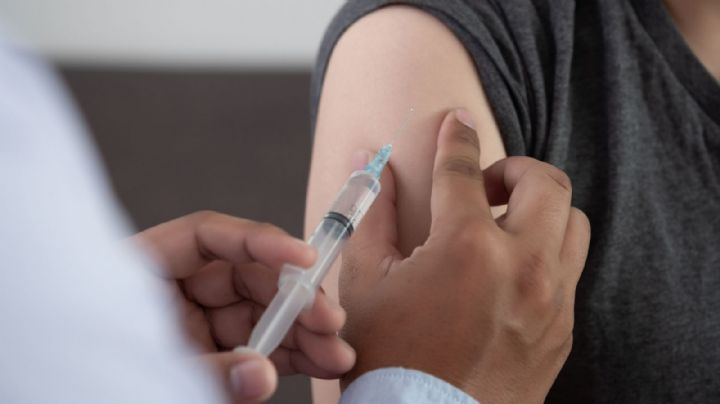 Vacuna anticovid de Pfizer y Moderna se venderá en México