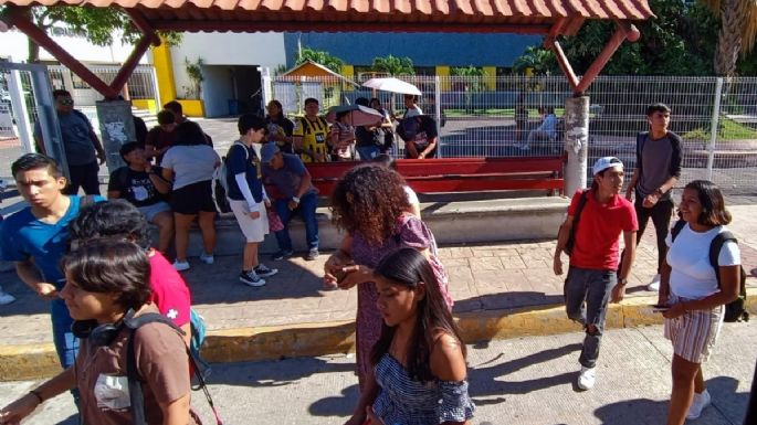 Peligran las mujeres en Ciudad del Carmen; en octubre se reportaron 110 casos de violencia
