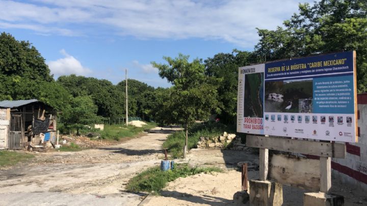 Laguna Manatí, en Cancún, amenazada por 'montañas' de basura
